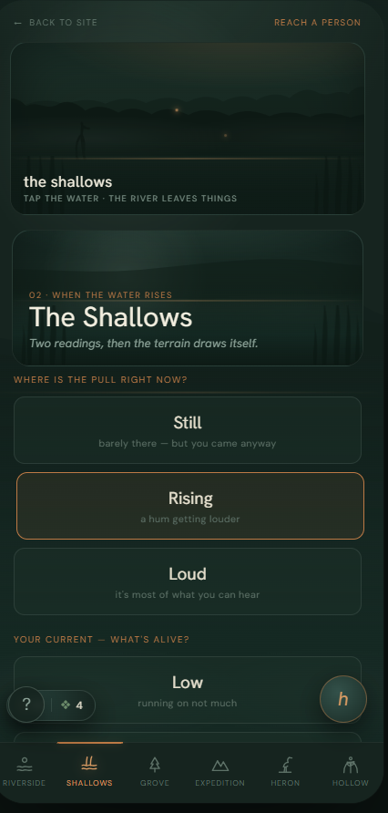 Marrow: the shallows