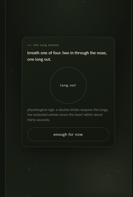 Sanctuary: the long exhale